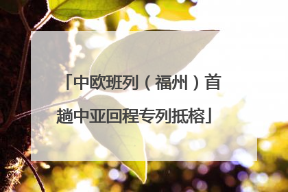 中欧班列（福州）首趟中亚回程专列抵榕