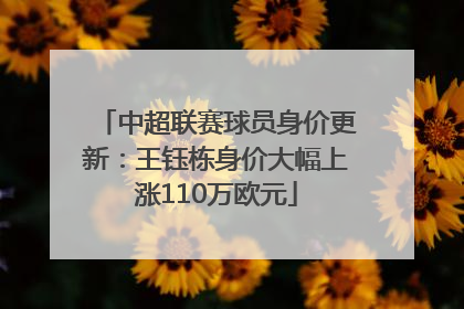 中超联赛球员身价更新：王钰栋身价大幅上涨110万欧元