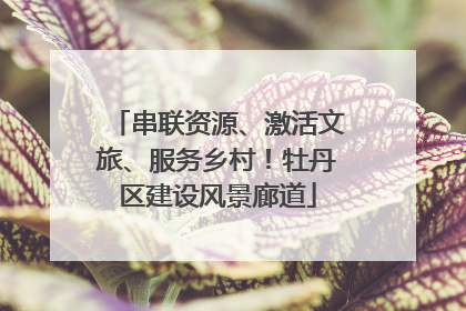串联资源、激活文旅、服务乡村！牡丹区建设风景廊道