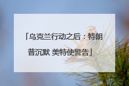 乌克兰行动之后：特朗普沉默 美特使警告