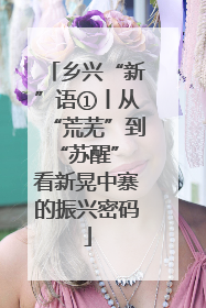 乡兴“新”语①丨从“荒芜”到“苏醒” 看新晃中寨的振兴密码