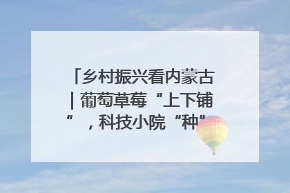 乡村振兴看内蒙古｜葡萄草莓“上下铺”，科技小院“种”出三倍效益
