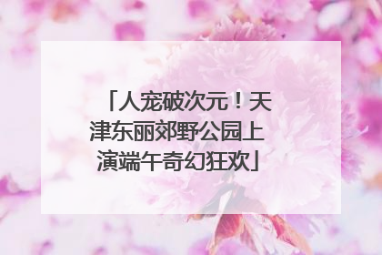 人宠破次元！天津东丽郊野公园上演端午奇幻狂欢