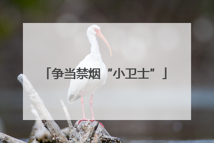 争当禁烟“小卫士”