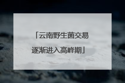 云南野生菌交易逐渐进入高峰期