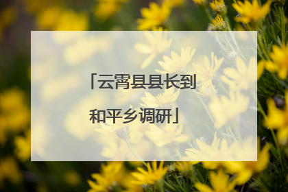 云霄县县长到和平乡调研