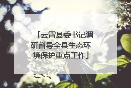 云霄县委书记调研督导全县生态环境保护重点工作