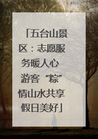 五台山景区：志愿服务暖人心 游客“粽”情山水共享假日美好