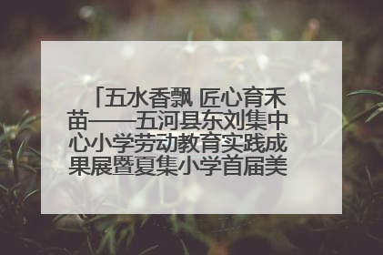 五水香飘 匠心育禾苗——五河县东刘集中心小学劳动教育实践成果展暨夏集小学首届美食节盛大举行