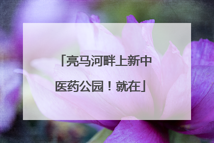 亮马河畔上新中医药公园！就在