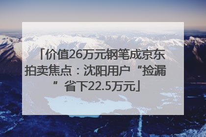 价值26万元钢笔成京东拍卖焦点：沈阳用户“捡漏”省下22.5万元