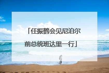 任振鹤会见尼泊尔前总统班达里一行