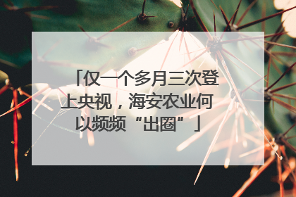仅一个多月三次登上央视，海安农业何以频频“出圈”