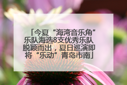 今夏“海湾音乐角”乐队海选8支优秀乐队脱颖而出，夏日巡演即将“乐动”青岛市南