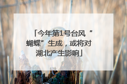 今年第1号台风“蝴蝶”生成，或将对湖北产生影响