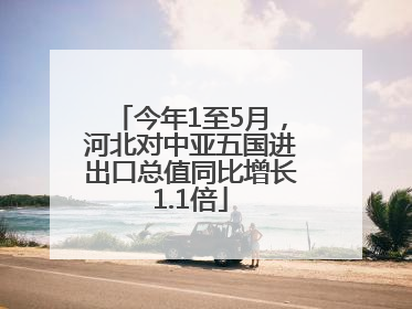 今年1至5月，河北对中亚五国进出口总值同比增长1.1倍