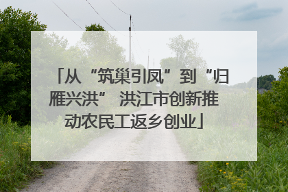 从“筑巢引凤”到“归雁兴洪” 洪江市创新推动农民工返乡创业