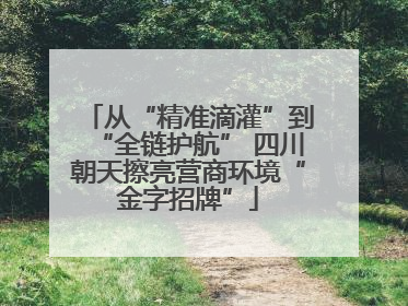 从“精准滴灌”到“全链护航” 四川朝天擦亮营商环境“金字招牌”