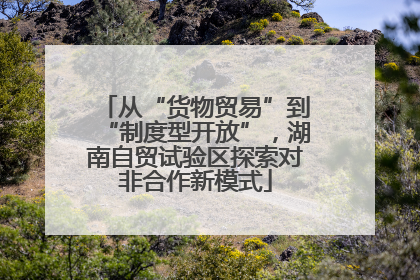 从“货物贸易”到“制度型开放”，湖南自贸试验区探索对非合作新模式