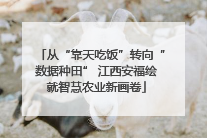 从“靠天吃饭”转向“数据种田” 江西安福绘就智慧农业新画卷