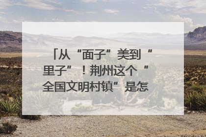 从“面子”美到“里子”！荆州这个“全国文明村镇”是怎样炼成的？