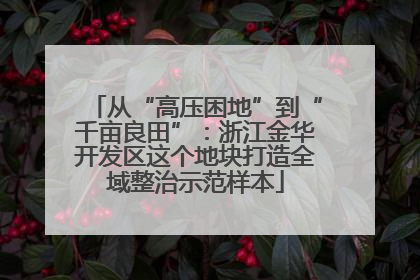 从“高压困地”到“千亩良田”：浙江金华开发区这个地块打造全域整治示范样本