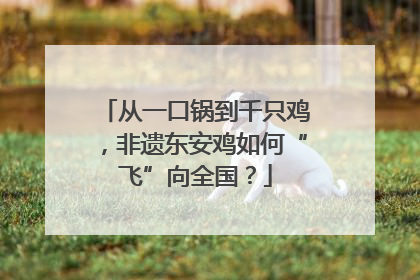 从一口锅到千只鸡，非遗东安鸡如何“飞”向全国？