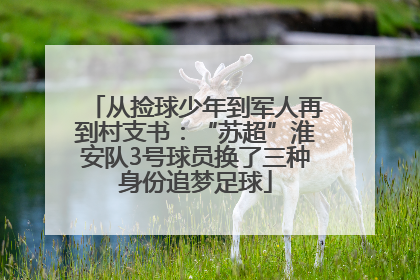 从捡球少年到军人再到村支书：“苏超”淮安队3号球员换了三种身份追梦足球