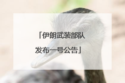 伊朗武装部队发布一号公告
