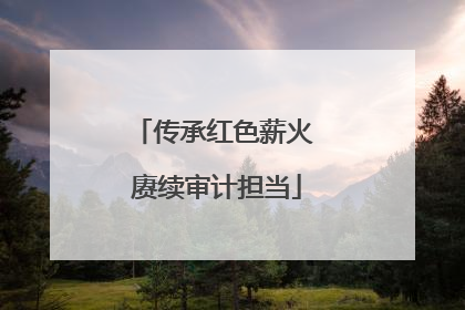 传承红色薪火 赓续审计担当