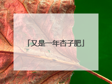 又是一年杏子肥