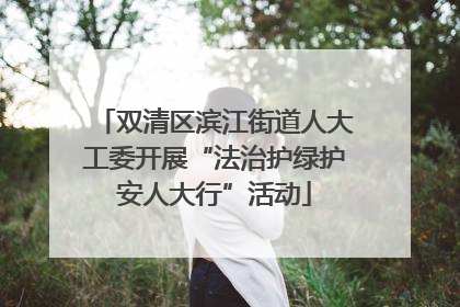 双清区滨江街道人大工委开展“法治护绿护安人大行”活动