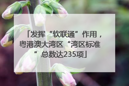 发挥“软联通”作用，粤港澳大湾区“湾区标准”总数达235项