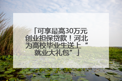 可享最高30万元创业担保贷款！河北为高校毕业生送上“就业大礼包”