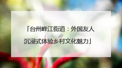 台州峰江街道：外国友人沉浸式体验乡村文化魅力