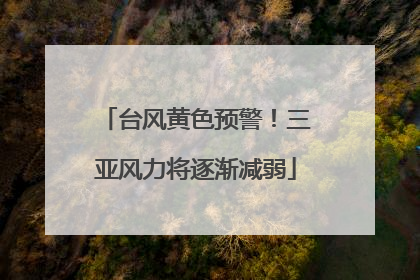 台风黄色预警！三亚风力将逐渐减弱