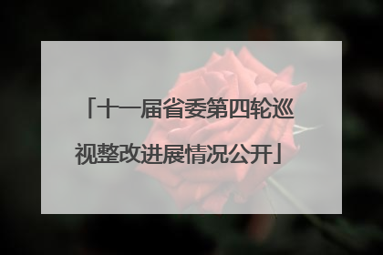 十一届省委第四轮巡视整改进展情况公开