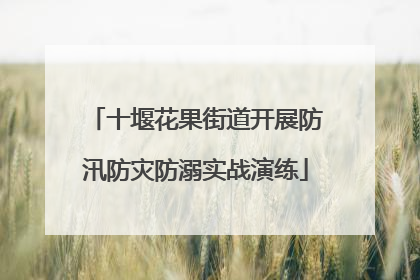 十堰花果街道开展防汛防灾防溺实战演练