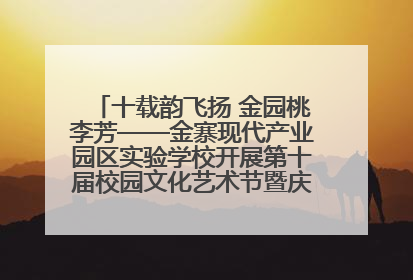 十载韵飞扬 金园桃李芳——金寨现代产业园区实验学校开展第十届校园文化艺术节暨庆“六一”系列活动
