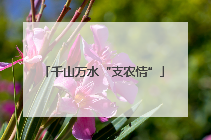 千山万水“支农情”