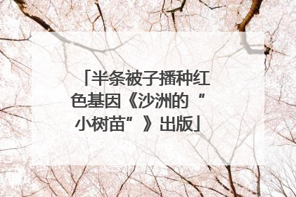 半条被子播种红色基因《沙洲的“小树苗”》出版