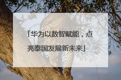 华为以数智赋能，点亮泰国发展新未来