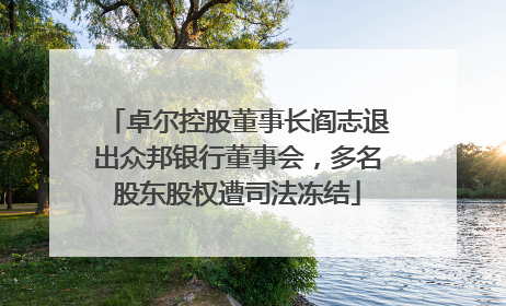 卓尔控股董事长阎志退出众邦银行董事会，多名股东股权遭司法冻结