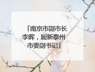 南京市副市长李晖，履新泰州市委副书记