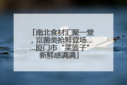 南北食材汇聚一堂，富菌类抢鲜登场……厦门市“菜篮子”新鲜感满满