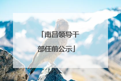南昌领导干部任前公示