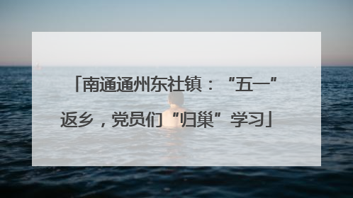 南通通州东社镇：“五一”返乡，党员们“归巢”学习
