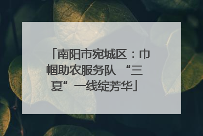 南阳市宛城区：巾帼助农服务队 “三夏”一线绽芳华