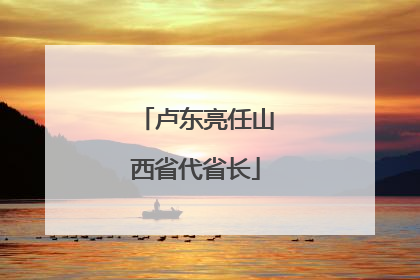 卢东亮任山西省代省长