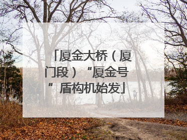 厦金大桥（厦门段）“厦金号”盾构机始发